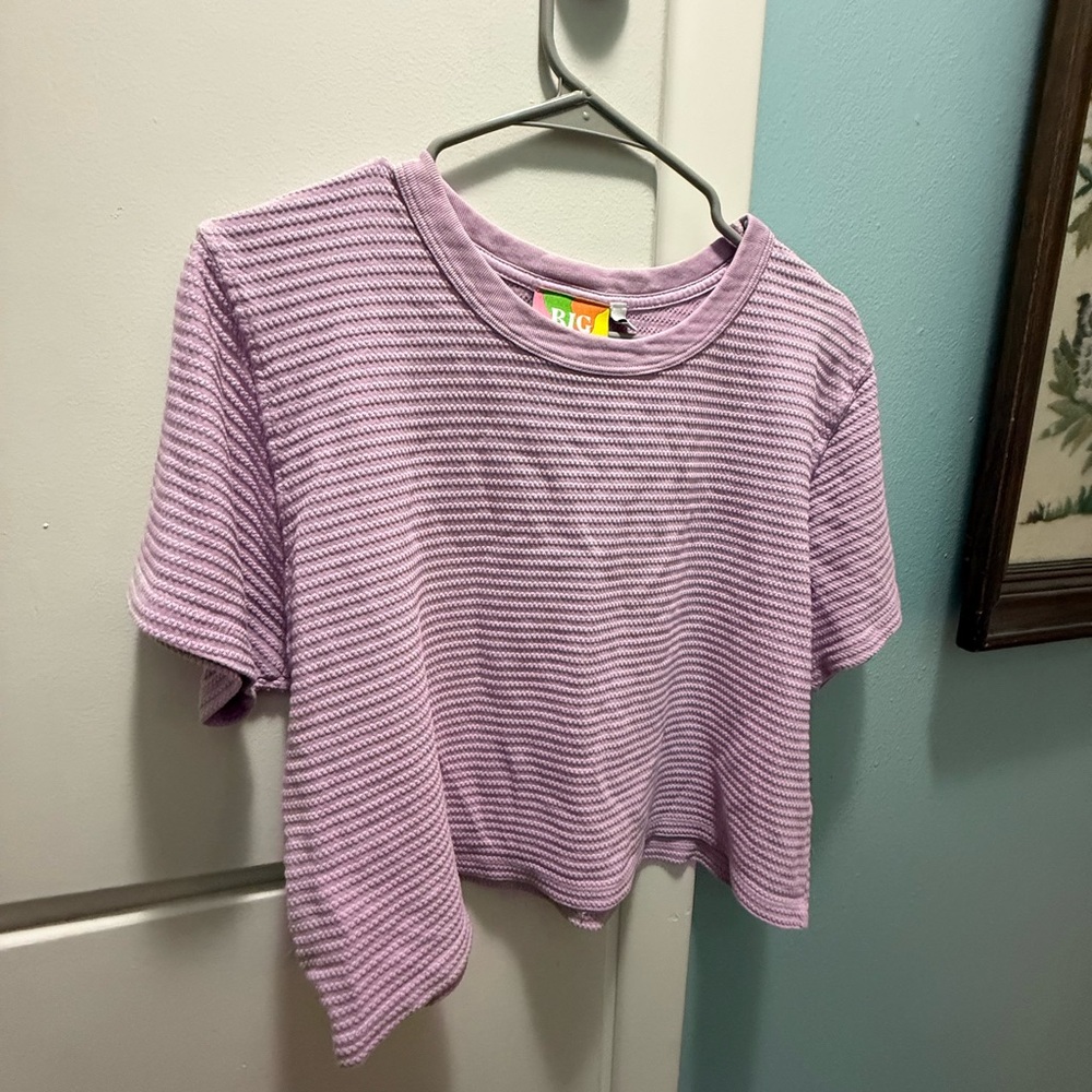 Big Bud Press Lavender Striped Kids Tee